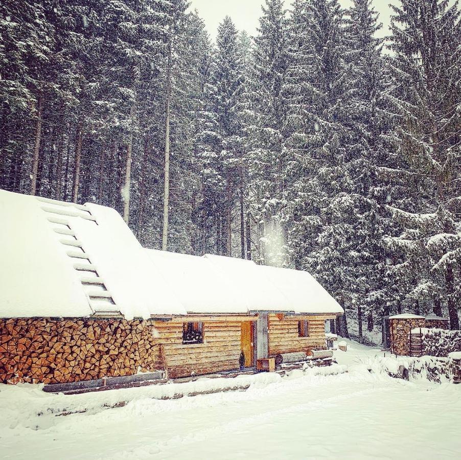 Penzion Horajda Hotel Vítkovice Buitenkant foto