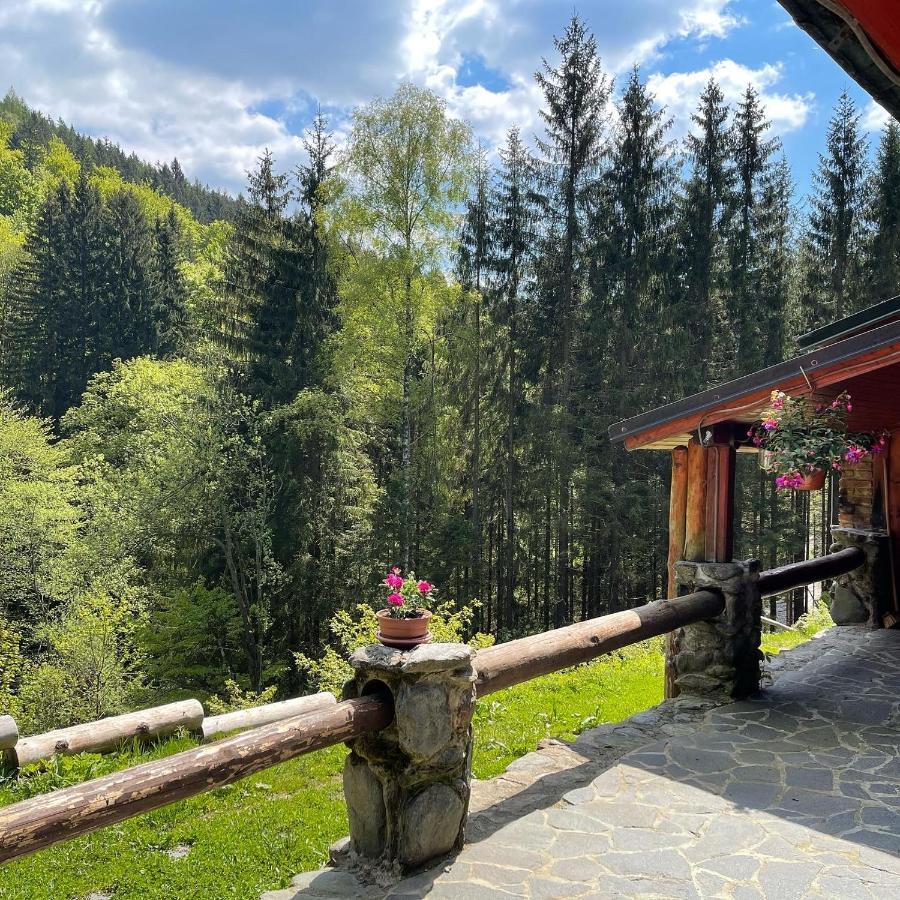 Penzion Horajda Hotel Vítkovice Buitenkant foto