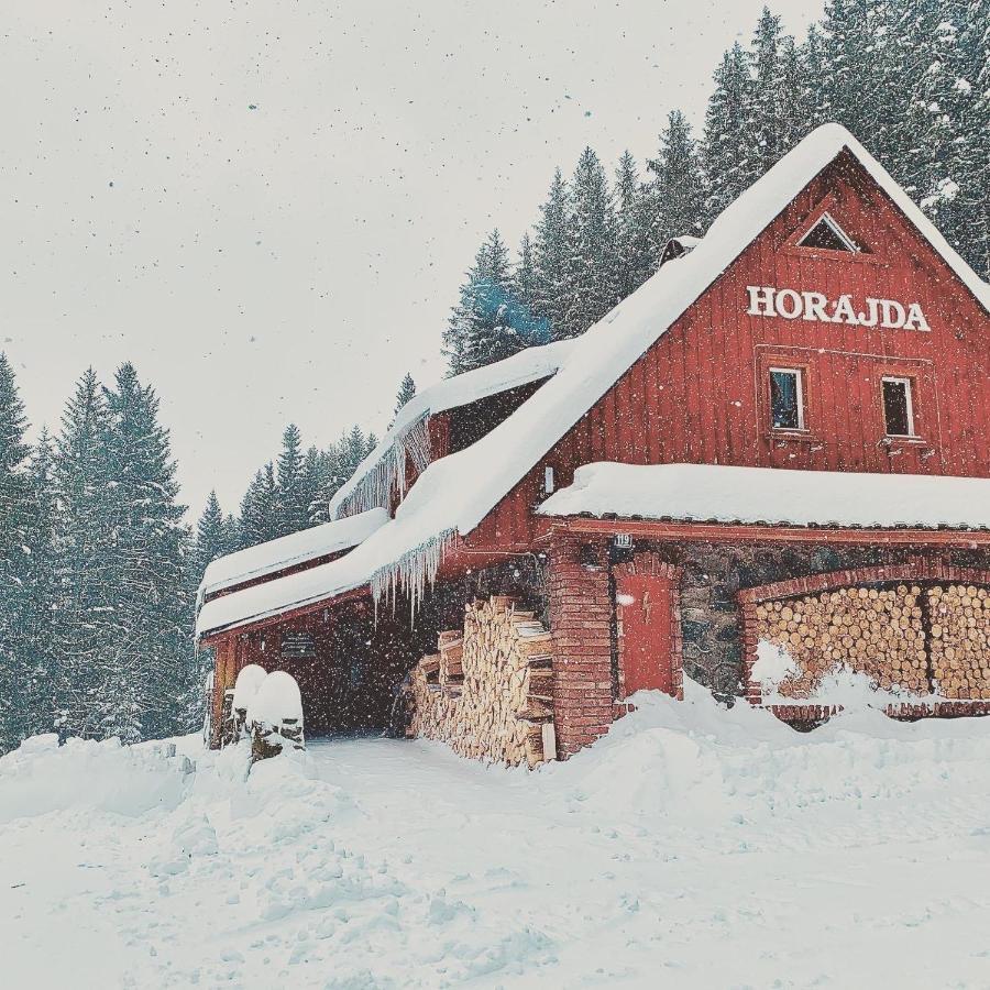 Penzion Horajda Hotel Vítkovice Buitenkant foto